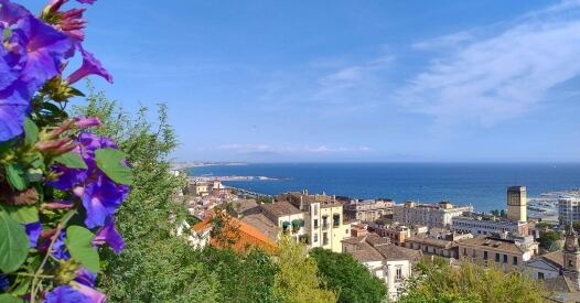 Img Hdr Zon img hdr zon