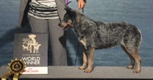 Tirrewwbob X tirrewwbob x