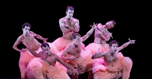 Tutu Chicos Mambo tutu chicos mambo