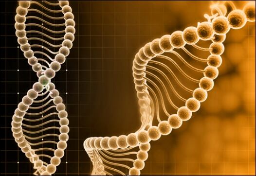 Fecondazione-in-Vitro-mild-stimulation