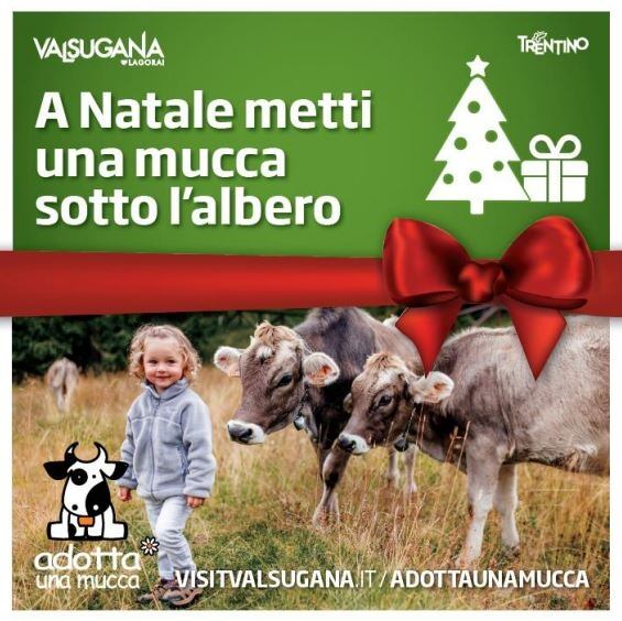 Adotta una mucca