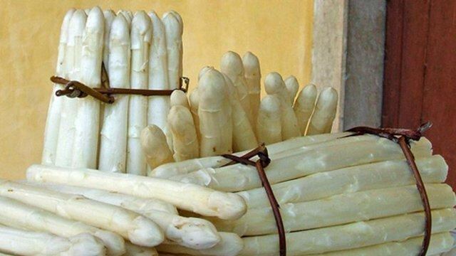 Asparagi Margarete
