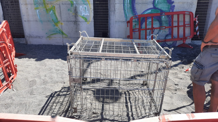 Nidificazione Sestri Levante Tartaruga caretta Caretta Sestri Levante - Ovetto di Colombo