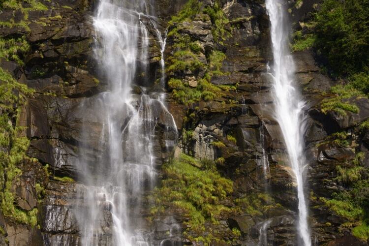 Shutterstock shutterstock