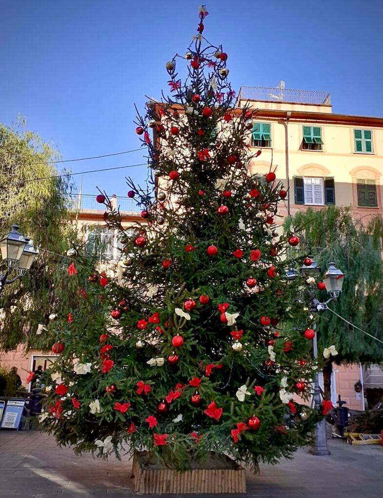 Bogliasco Albero Natale bogliasco albero natale