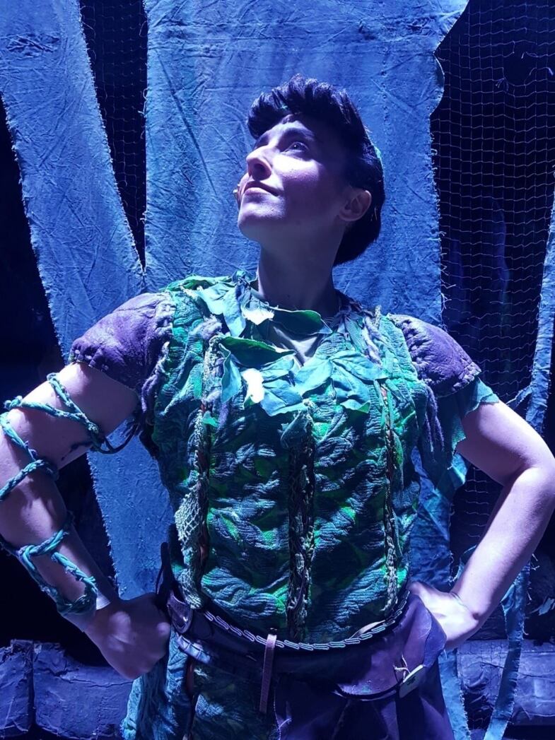 Peter Pan Forever peter pan forever