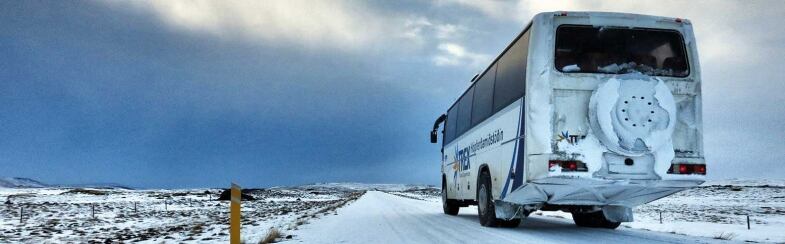 gnw p  islanda gruppo