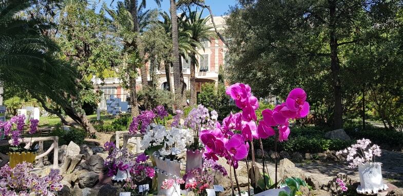 euroflora genova orchidee