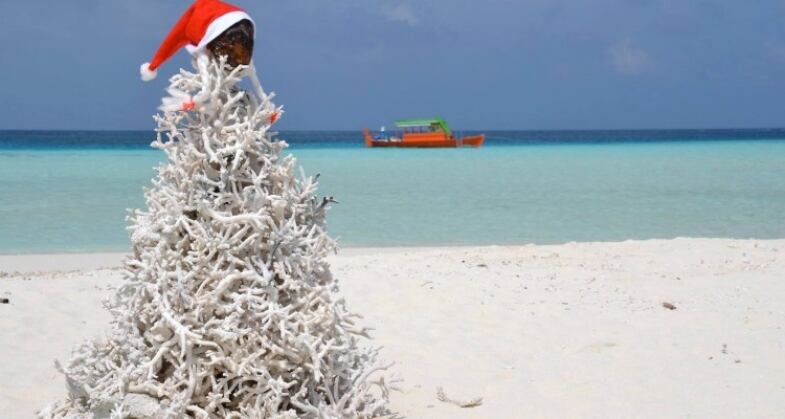 Vademecum Covid Per Le Feste Maldive vademecum covid per le feste maldive