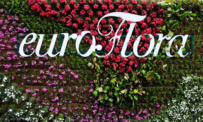 Scritta Eurofora scritta eurofora