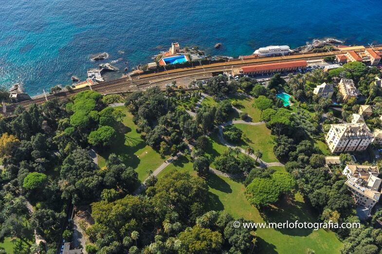 Genova Ph Merlo genova ph merlo