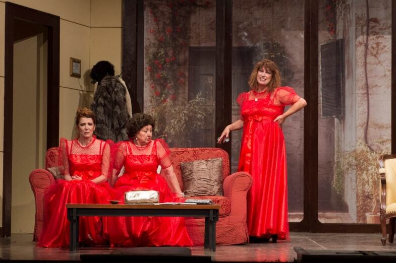 Il Club Delle Vedoive il club delle vedoive