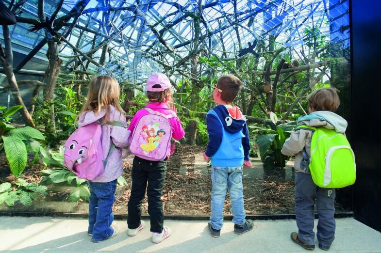 Parigi Parc Zoologique parigi parc zoologique