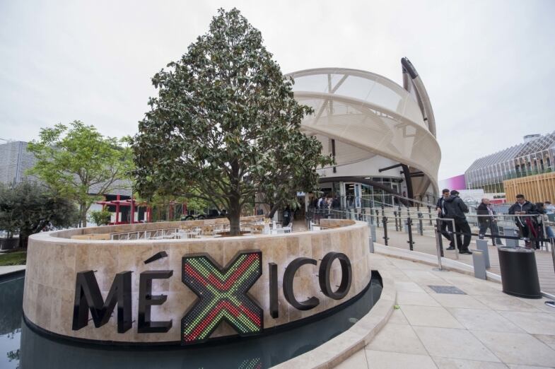 Mexico Day