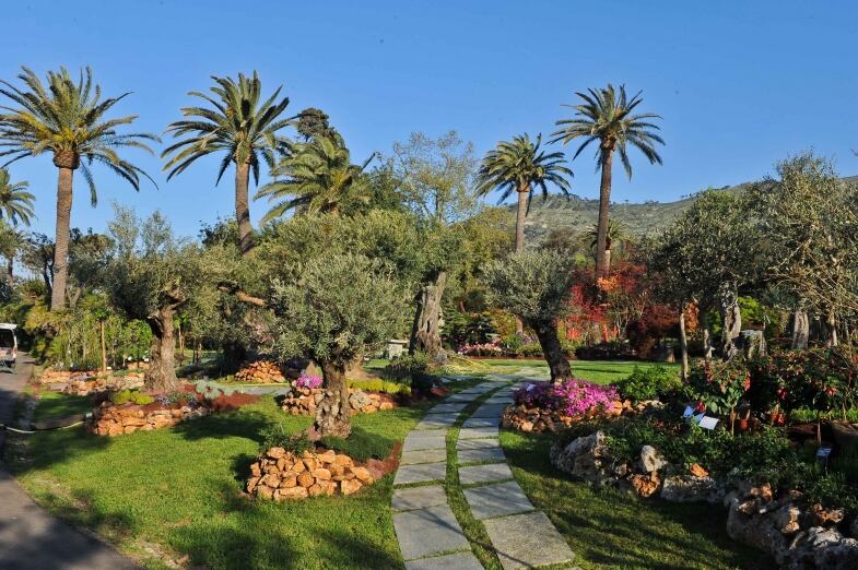 Euroflora Di euroflora di