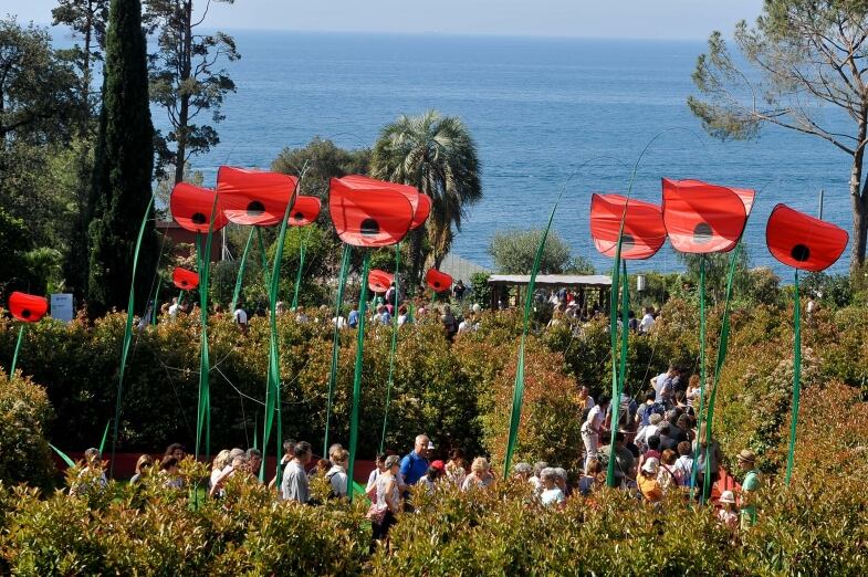 Numeroso Pubblico Dom numeroso pubblico dom