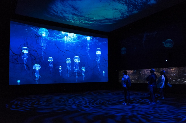 acquariodigenova nuoivo percorso