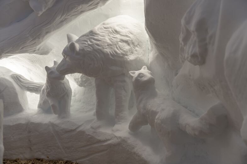 igloo suites photo mariotti mauro ric pontedilegno tonale