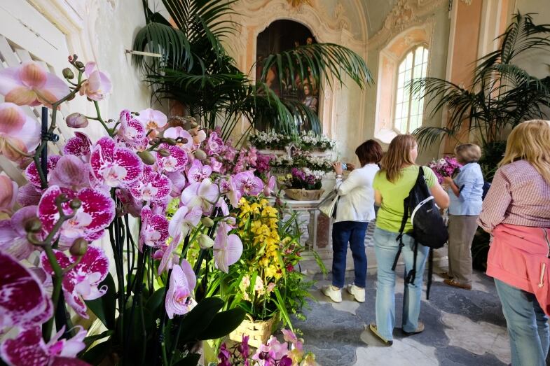 Liguria Orchidee Cappella Gentilizia liguria orchidee cappella gentilizia