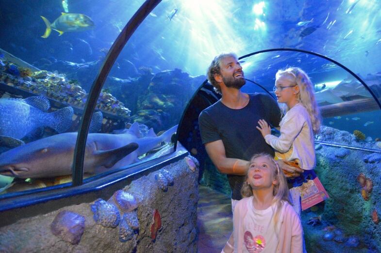 massimiliano rosolino a gardaland sea life aquarium ok