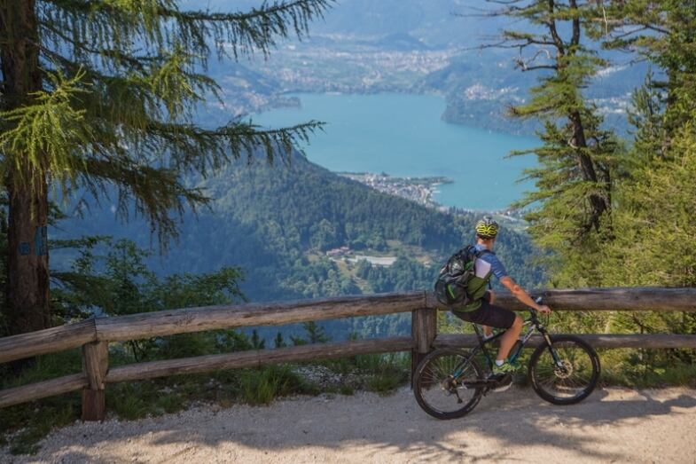 Respiro Degli Alberi Lavarone Copia respiro degli alberi lavarone copia