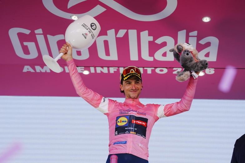 cicco rosa