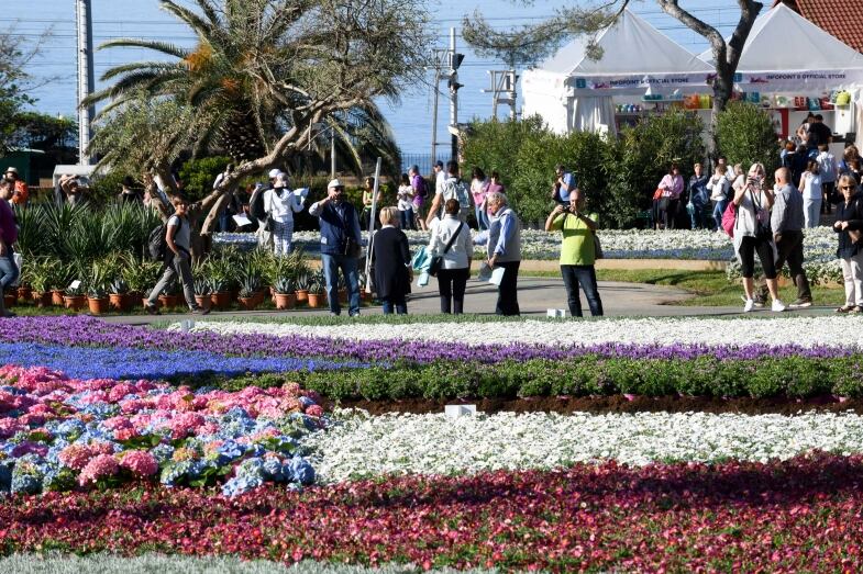 Pubblico G pubblico g