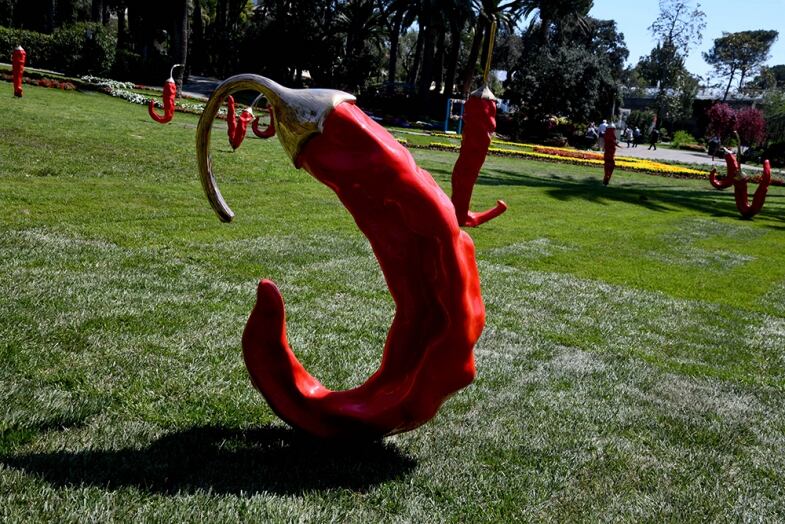 euroflora germinazioni