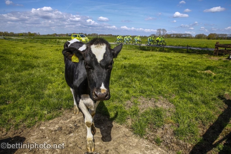 Bettiniphoto Px X Giro 2016