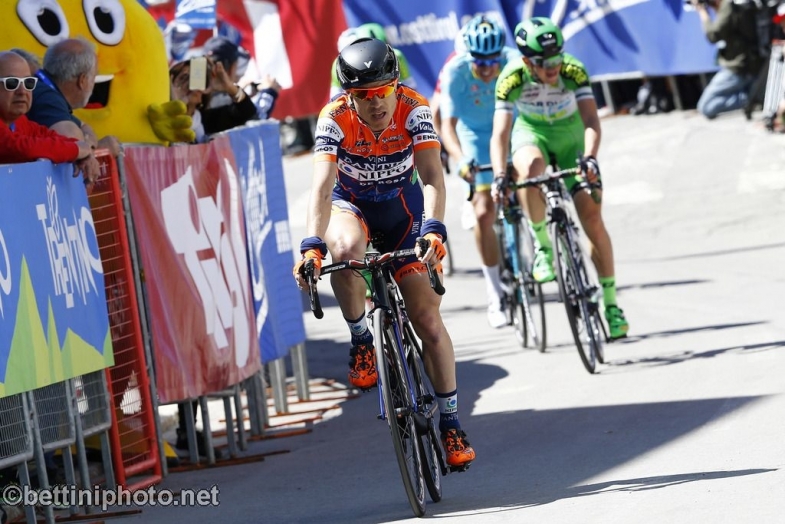 Bettiniphoto Px X Giro del Trentino Melinda 2016 - 40a Edizione - 2a tappa Arco - Anras 220,3 km - 20/04/2016 - Damiano Cunego (Nippo - Vini Fantini) - foto Luca Bettini/BettiniPhoto©2016