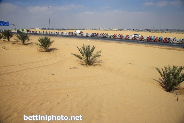 Bettiniphoto Px X bettiniphoto_0233049_1_1024px