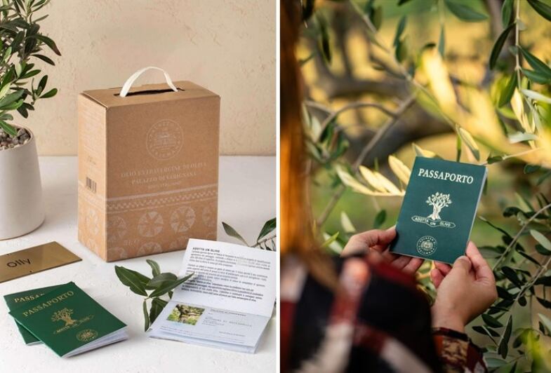 Adotta Un Ulivo adotta un ulivo