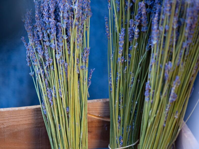 immagine whatsapp   ore dfdde