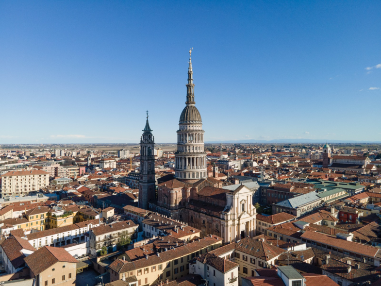 Novara novara