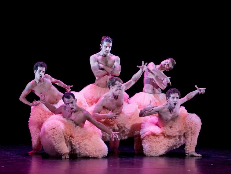 Tutu Chicos Mambo tutu chicos mambo