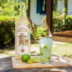 caipirinha rio