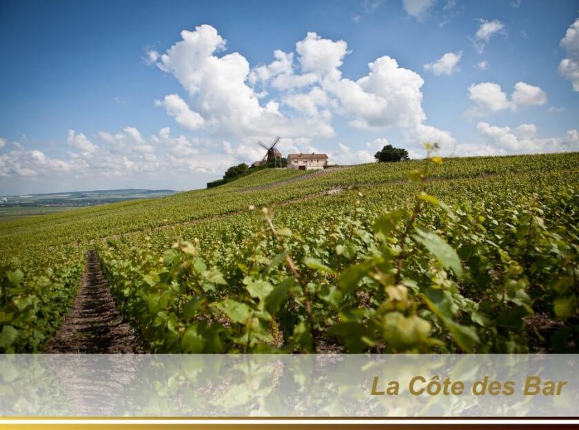 Champagne Albert Le Comte