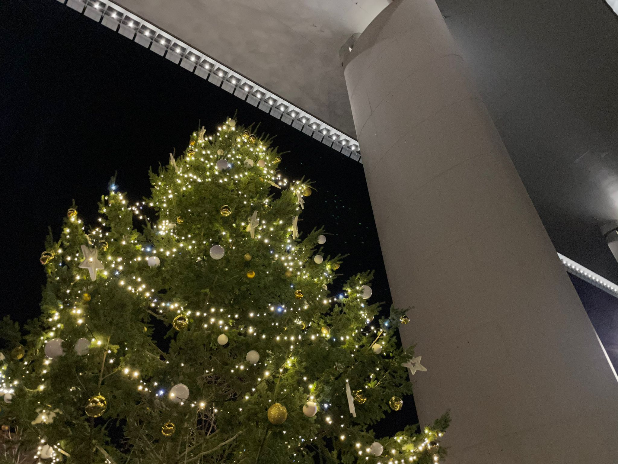 radura della memoria albero di natale