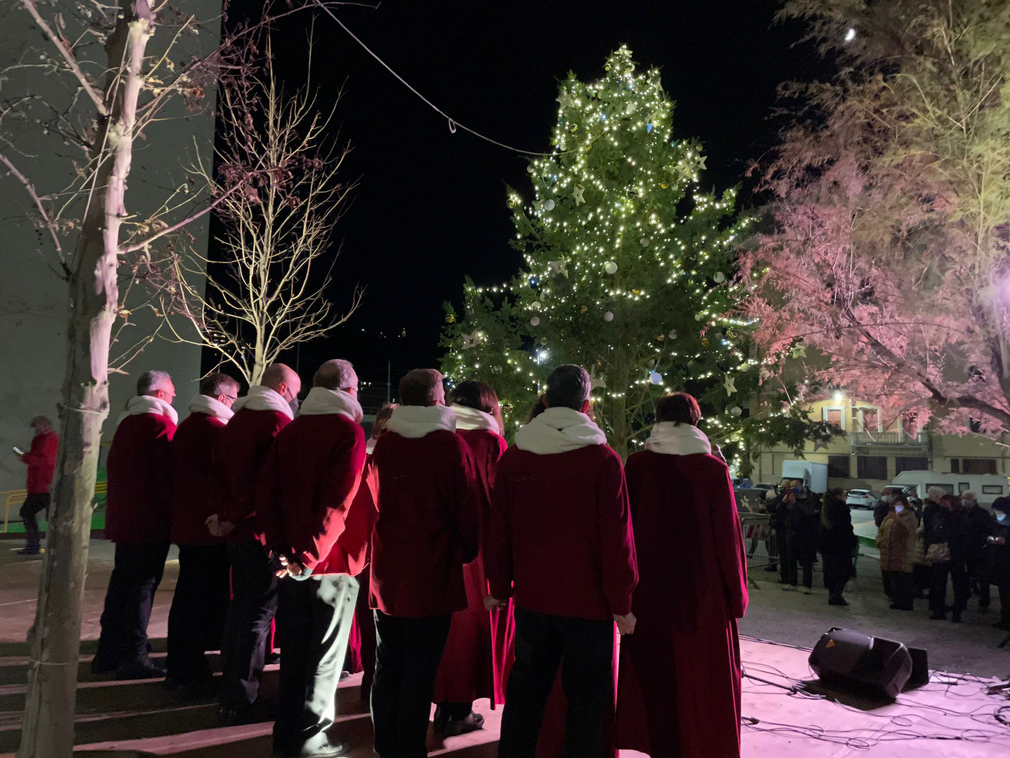 radura della memoria albero di natale